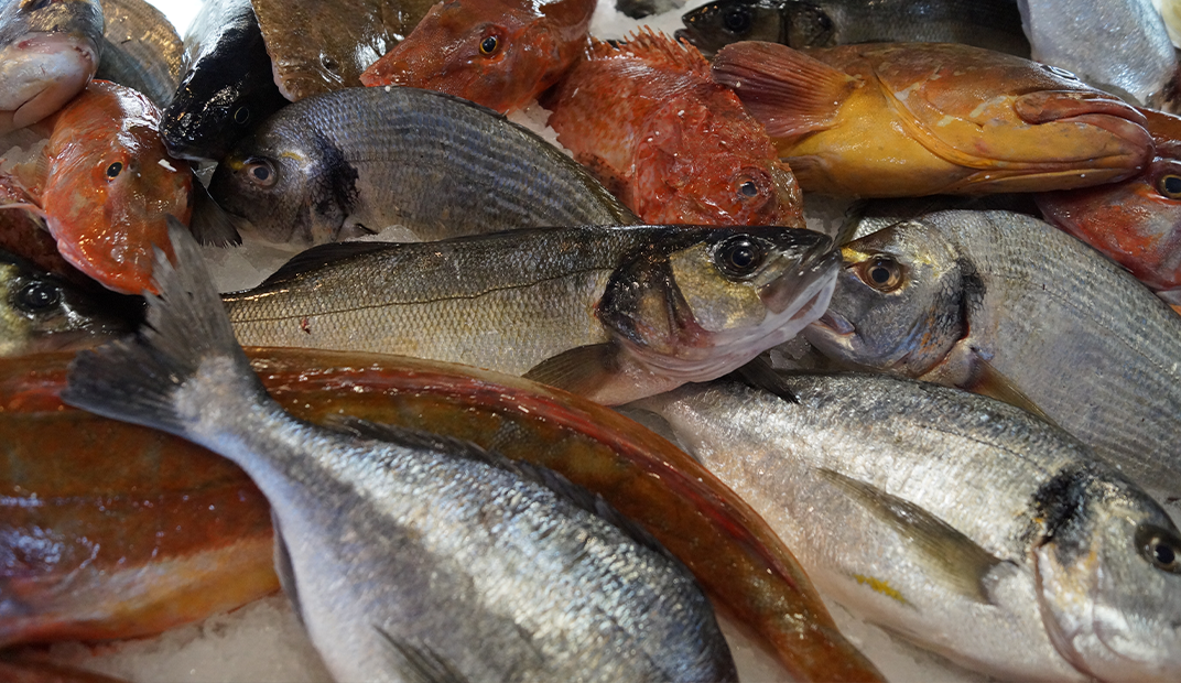 L’importance de la fraîcheur dans le poisson