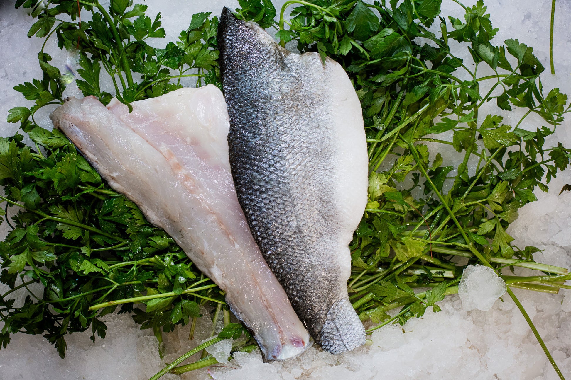 Filets de loup