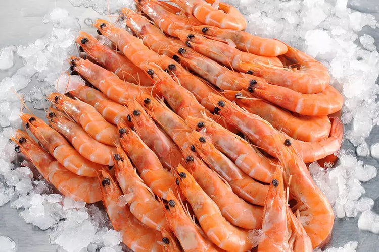 Crevettes bio cuites taille 30/50 (1kg, barquette sous atmosphère)